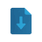 Export Options